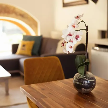 Larroque Haute Holiday home