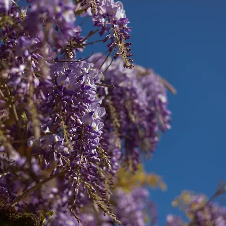 Larroque Haute Vakantiehuis