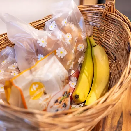 Larroque Haute Cassagnes (Lot)