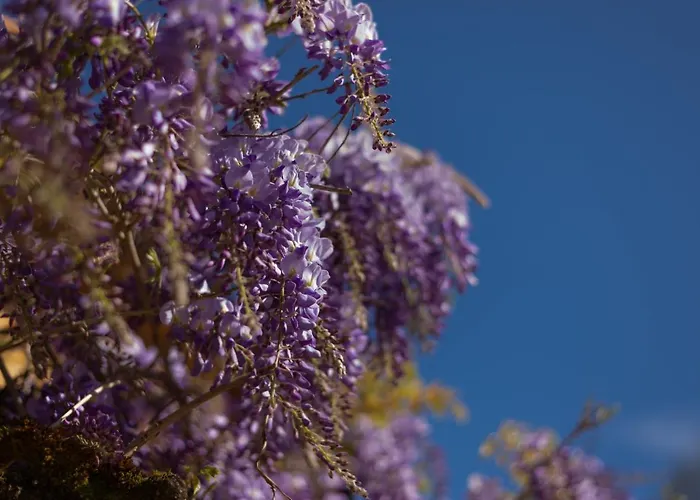 Larroque Haute 度假居