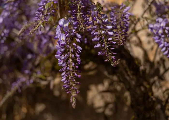 Larroque Haute 度假居 Cassagnes (Lot)