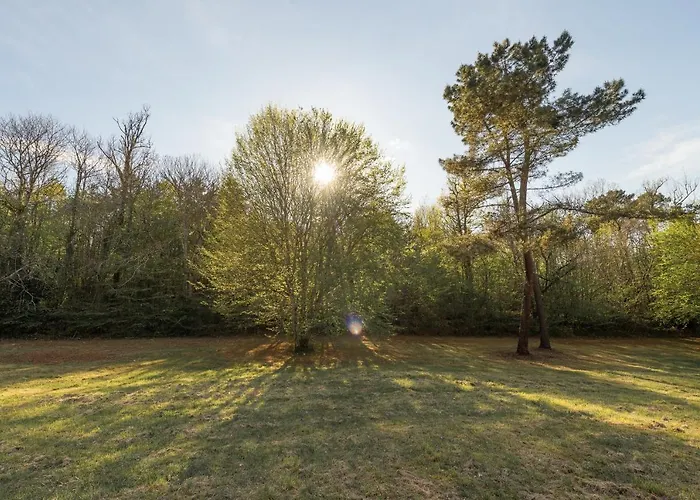 度假居 Larroque Haute Cassagnes (Lot)