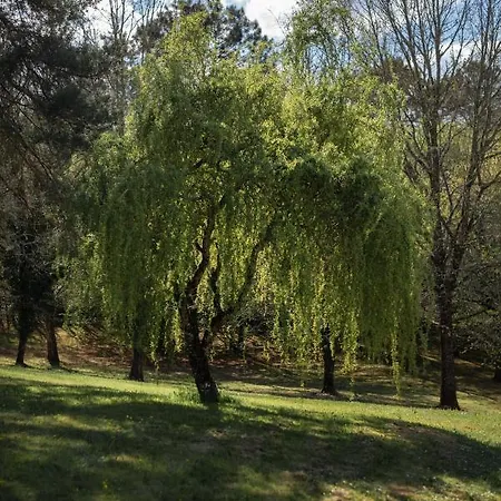 Larroque Haute Ferienhaus Cassagnes (Lot)