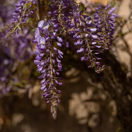 Larroque Haute Ferienhaus Cassagnes (Lot)