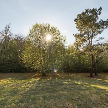 Ferienhaus Larroque Haute Cassagnes (Lot)