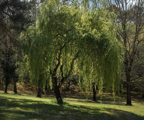 Larroque Haute 度假居 Cassagnes (Lot)