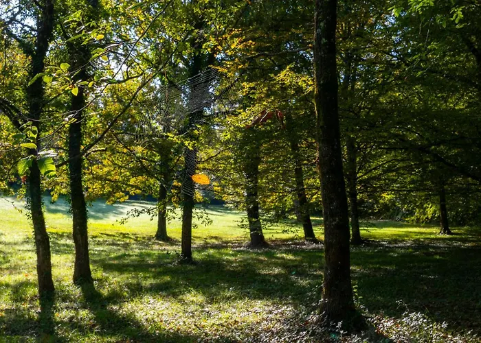 Larroque Haute Cassagnes (Lot)